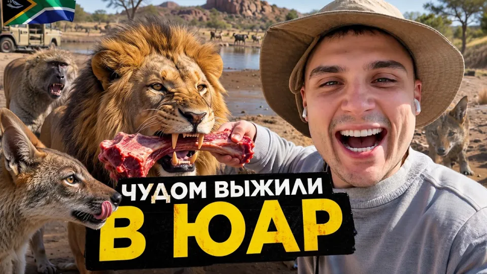 Южная Африка Поездка пошла НЕ ПО ПЛАНУ... Застрял посреди ЮАР . Пингвины и выживание в пустыне